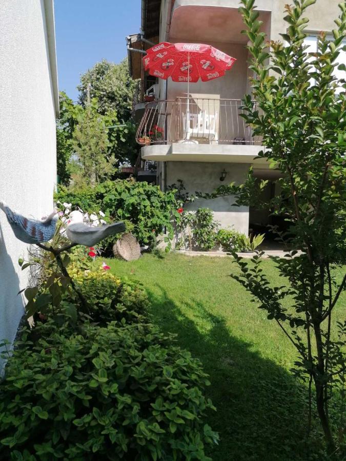 Guest House Sokratovi Обзор Екстер'єр фото